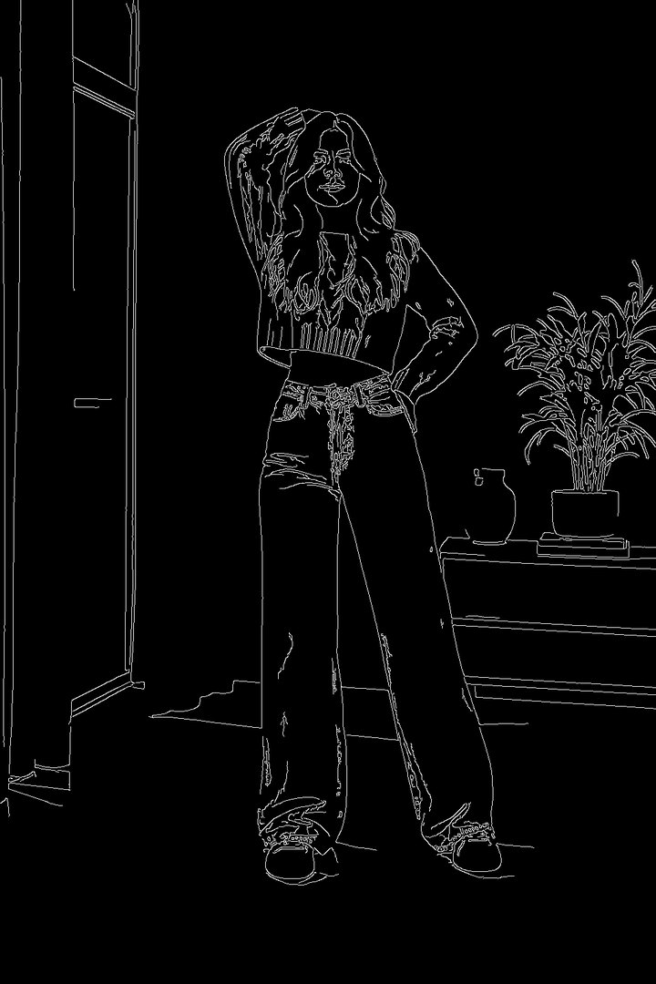 Canny edge map of the reference: thin white outlines of the woman, her clothes, the window, the shelf and the plant on black.